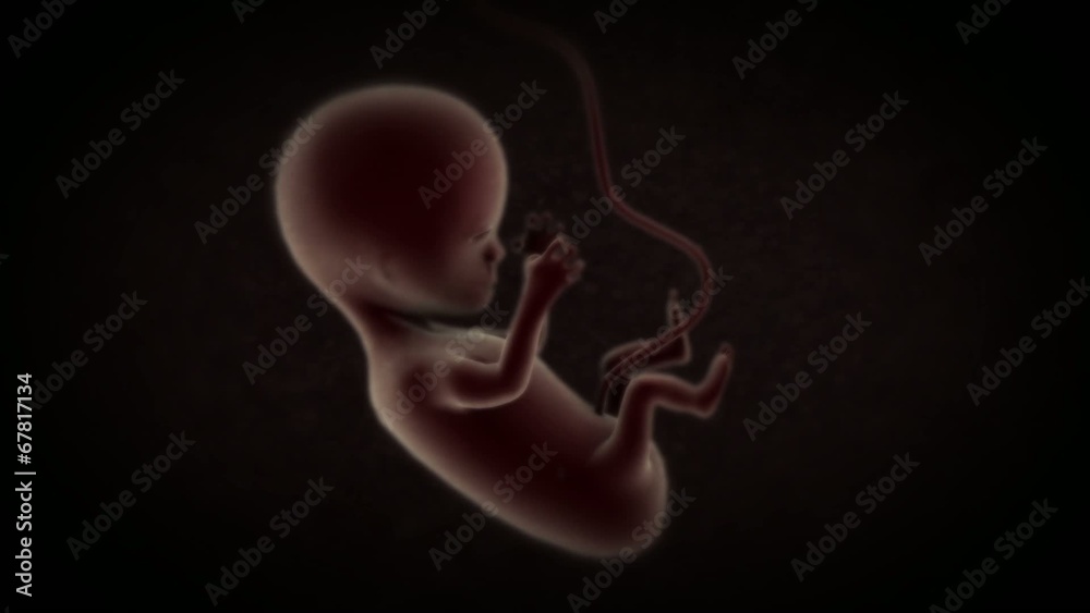 41 最適な 羊水 画像 ストック写真 ベクター Adobe Stock