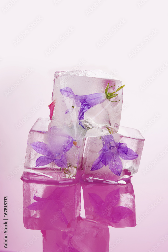 Fresh and beautiful. Fresh and beautiful.