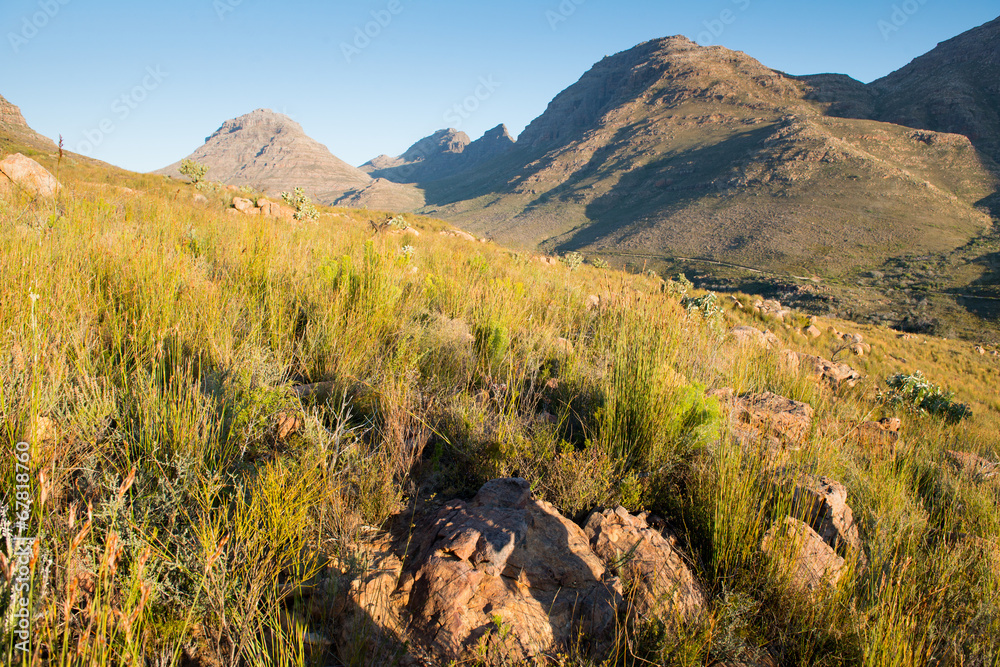 Obraz premium Au massif du Cederberg en Afrique du Sud
