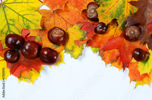 autumn leaves and chestnuts with scpae for your text