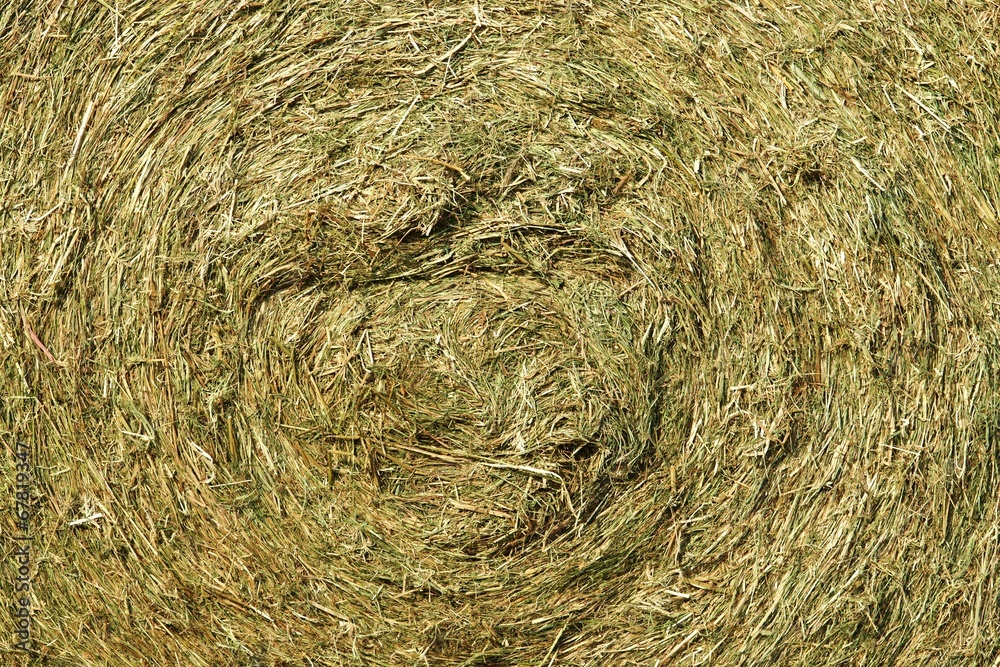 Huge bales of straw