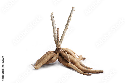 Cassava isolated on a white background with shadow
