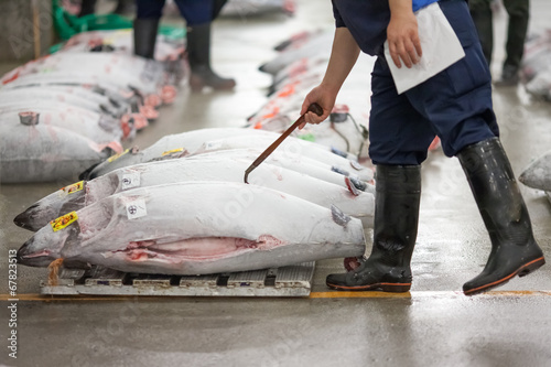 Tsukiji Fischmarkt in Tokyo photo