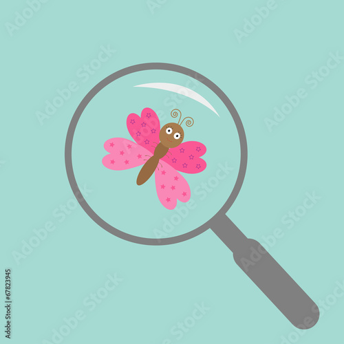 Butterfly insect under magnifier zoom lense. Flat design.