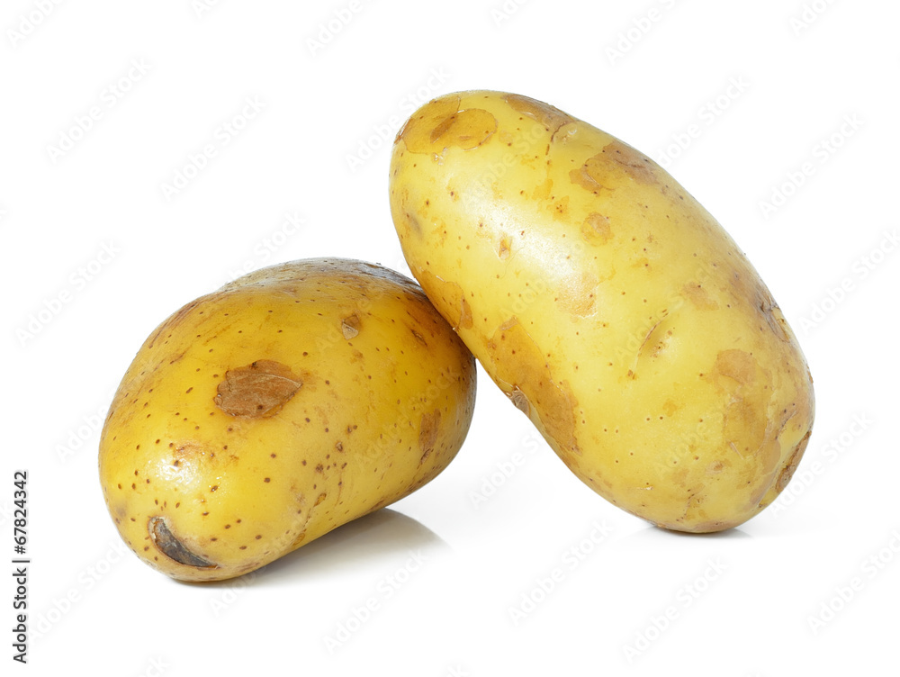 potato isolated on white background potato isolated on white background