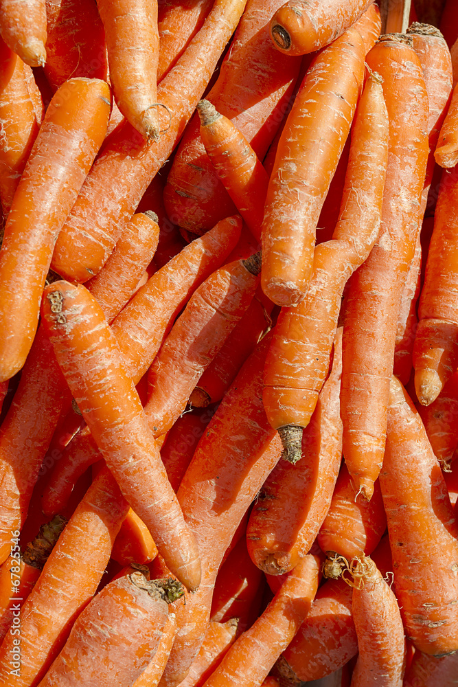 Fresh carrots at the local farmers market Fresh carrots at the local farmers market