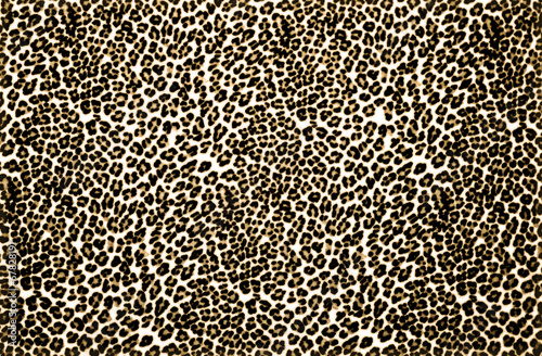 Leopard Print