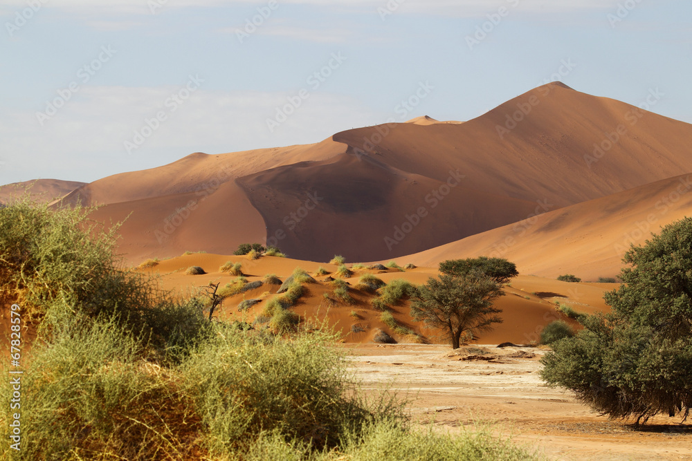 Dünenlandschaft, Sossulvlei, Namibia - obrazy, fototapety, plakaty 
