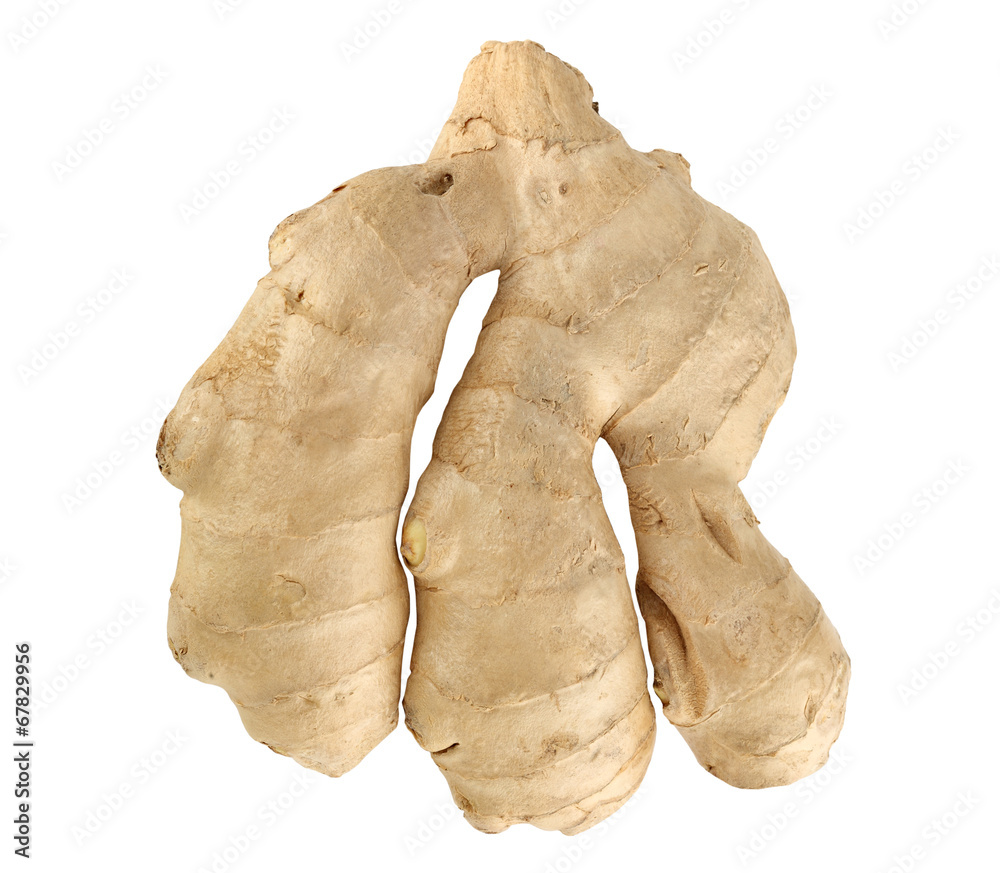 Ginger isolated on white background. Ginger isolated on white background.