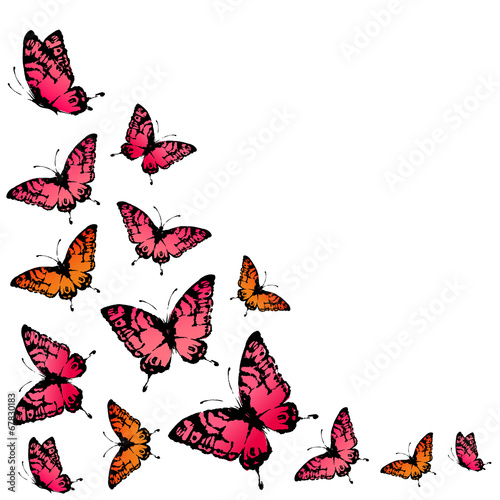 butterflies design