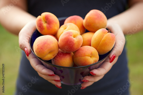 Female hands holding apricots