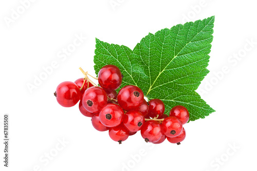 Redcurrant with leaf isolated on white background