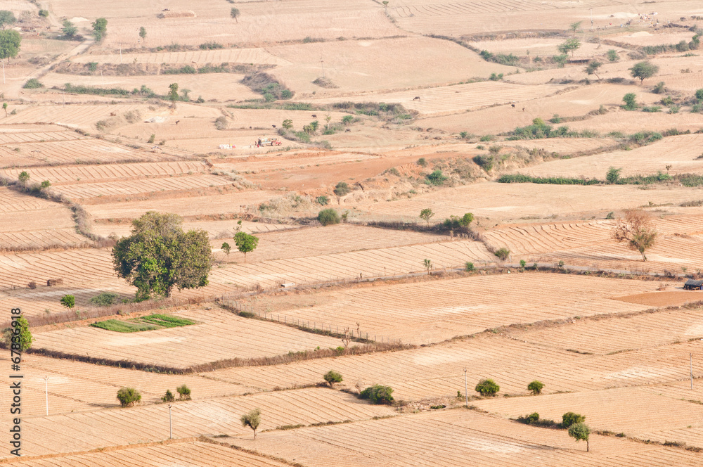 Obraz premium acres in india rajasthan seen from a mountain top