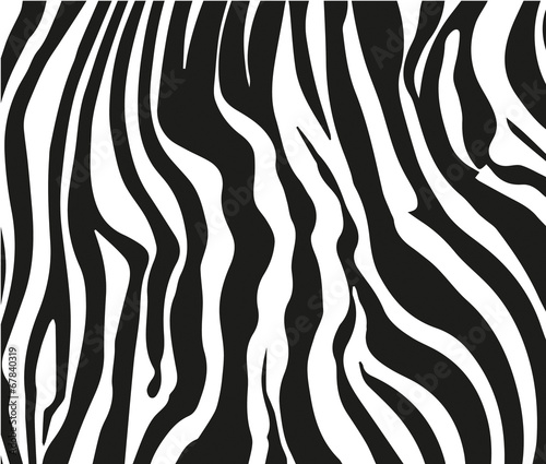 Zebra 2207