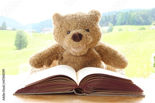 Teddybär beim lesen
