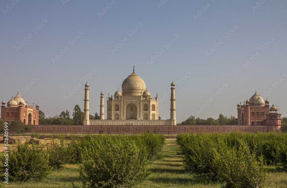 Back View of Taj Mahal in India