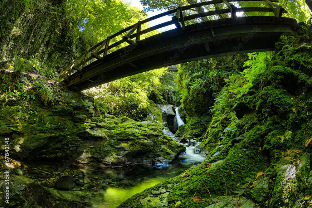 Fototapeta premium naturalny wodospad most