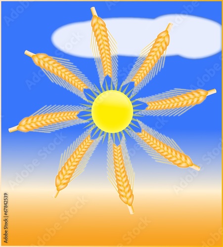 Ährenkranz in Sonne