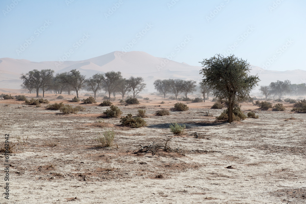 Trek dans la vallée de la Tsauchab en Namibie