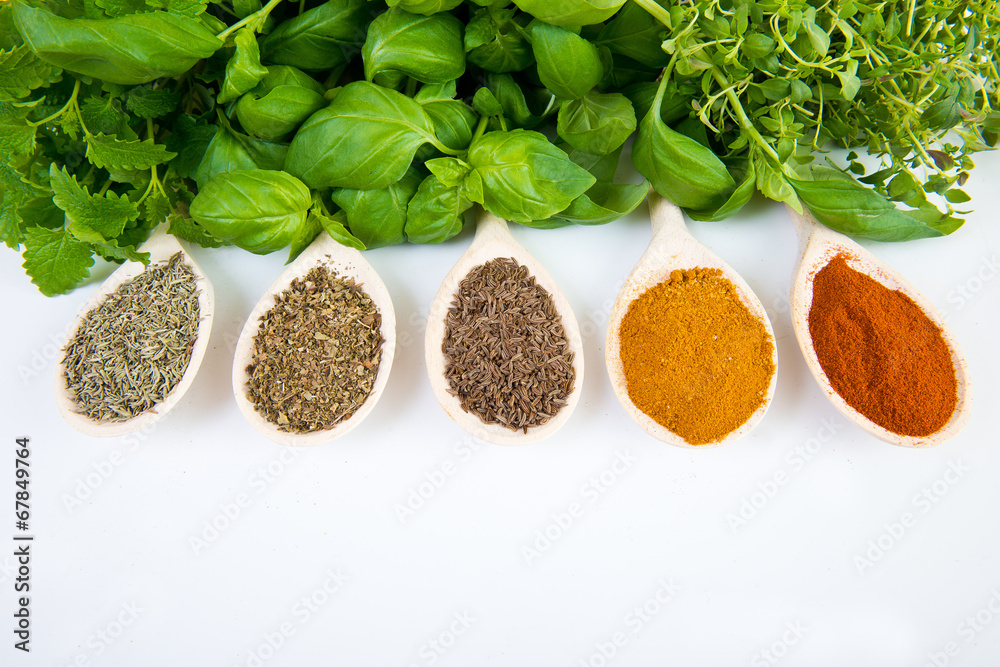 Dried and fresh spices Dried and fresh spices