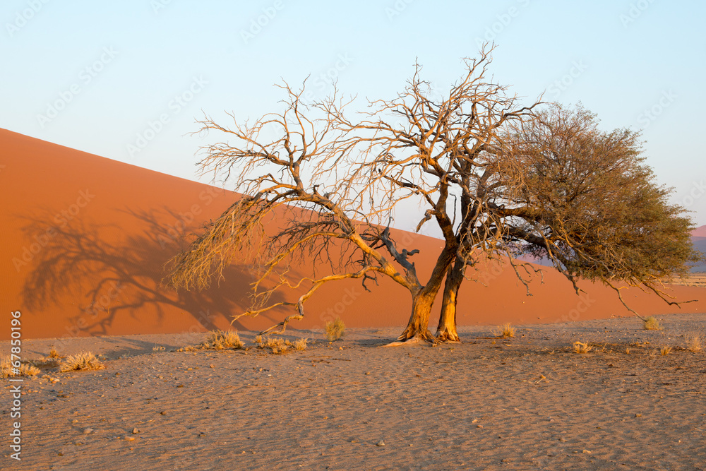 Ascension de du Dune 45 en Namibie