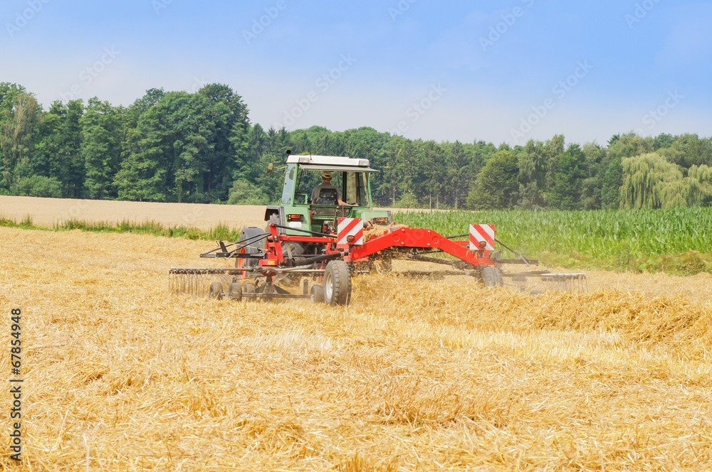 Fototapeta premium Ernte, Stroh zum Trocknen wenden