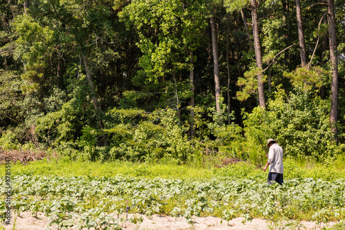 Farming photo