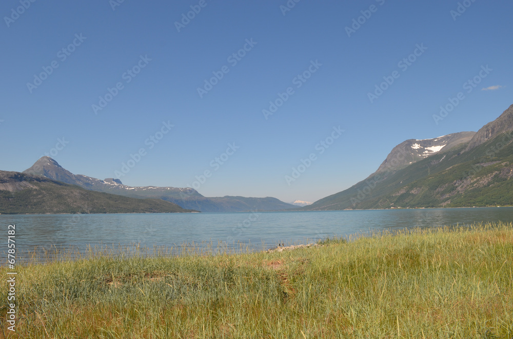 summer along the Norwegian fjord Skjomen