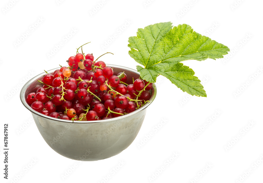 Red currant Red currant