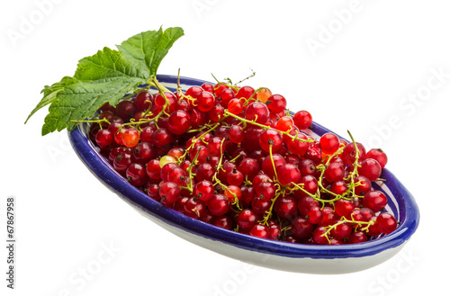 Red currant