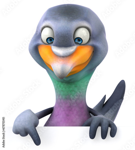 Pigeon