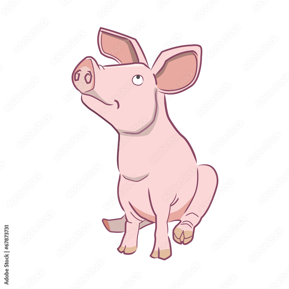 cochon cochon