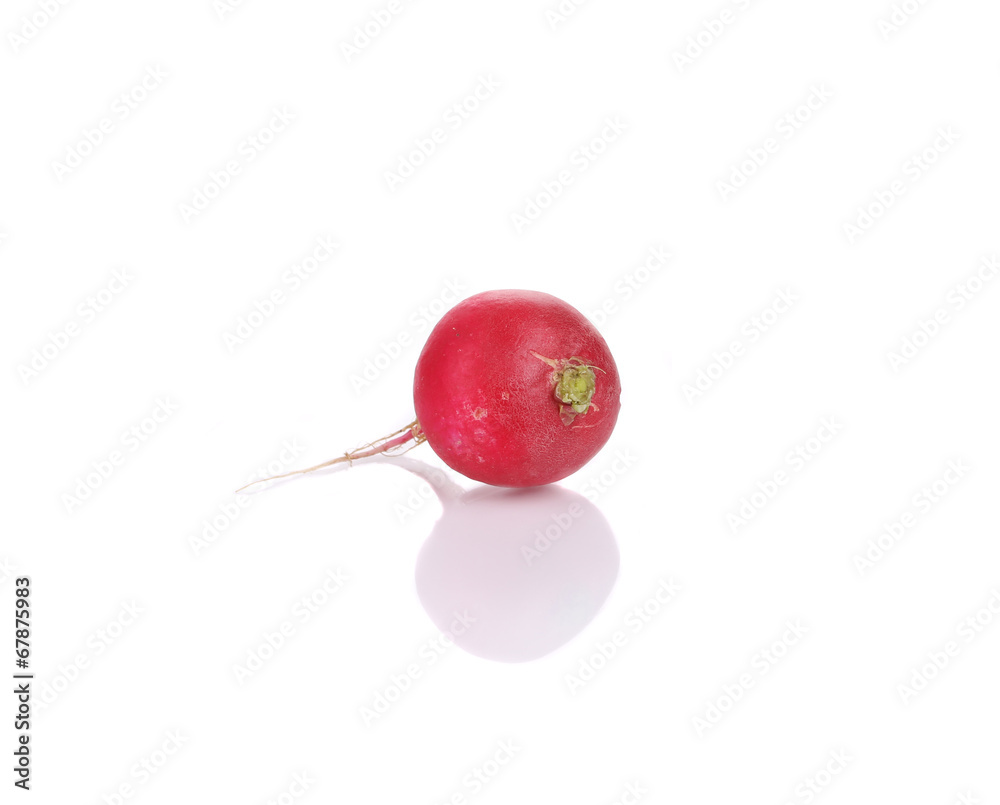 Red radish. Red radish.