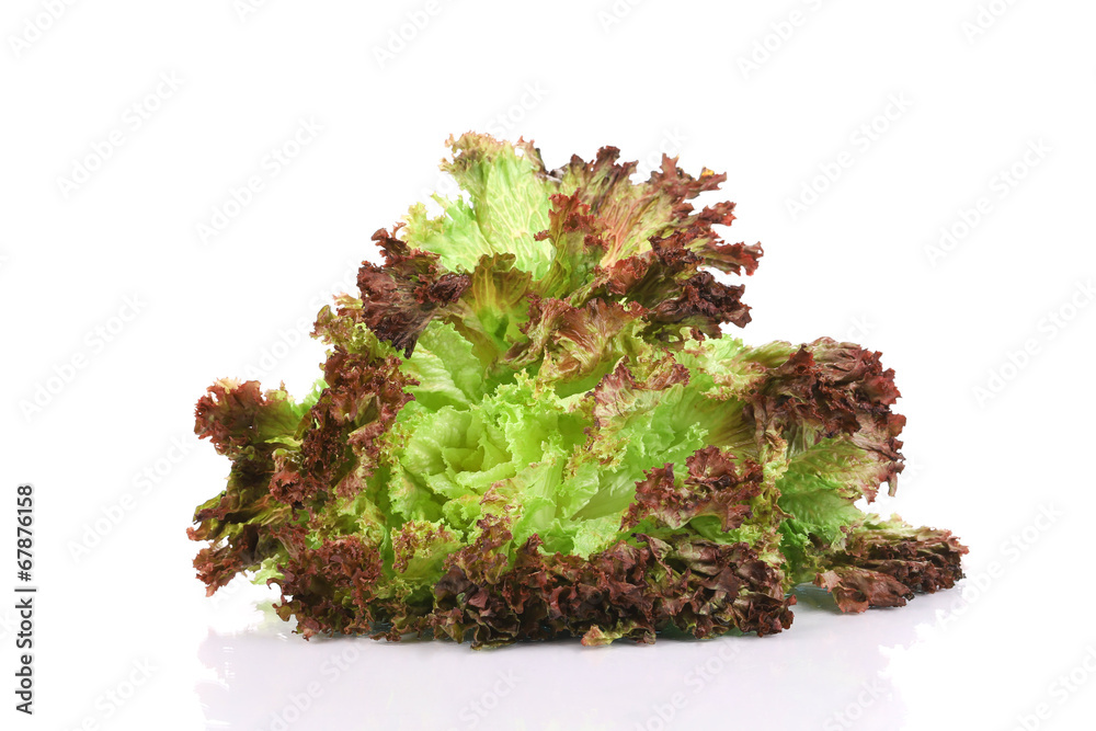 Close up of salad leaves. Close up of salad leaves.