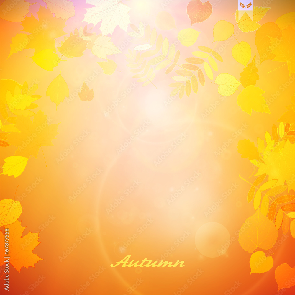 Autumn Colorful red and yellow leaves.