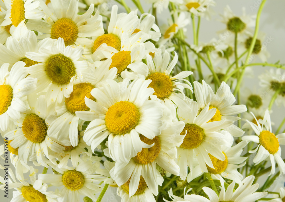 Fototapeta premium beautiful bouquet of daisies on the table closeup