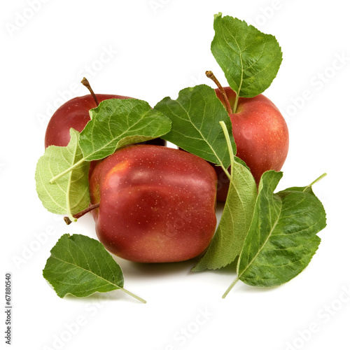 isolated image of three ripe apples on white background