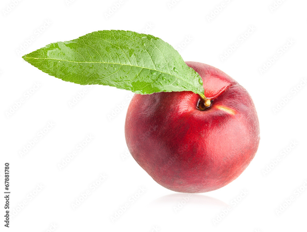 Fresh peach isolated on white background Fresh peach isolated on white background