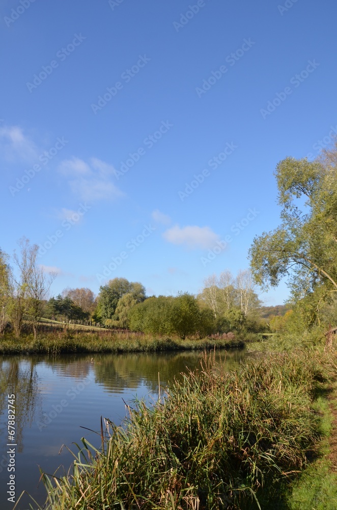 Etang et roseaux, rivière de la Bièvre, Jouy en josas