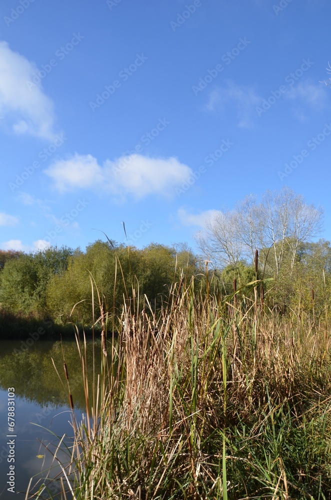 Vallée de la Bièvre, Jouy en Josas