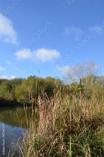 Vallée de la Bièvre, Jouy en Josas