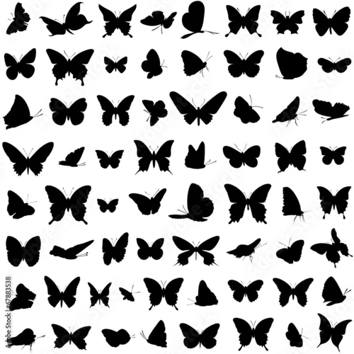 Obraz Schmetterlinge Vektor Set