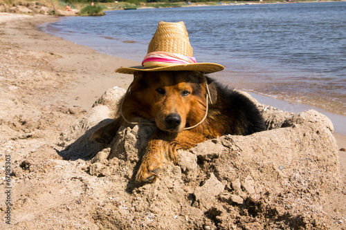 Hund mit Hut liegt am Strand