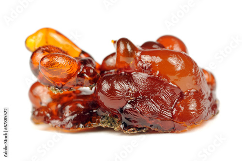 Cherry Tree Resin Isolated on White Background