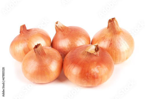 onion