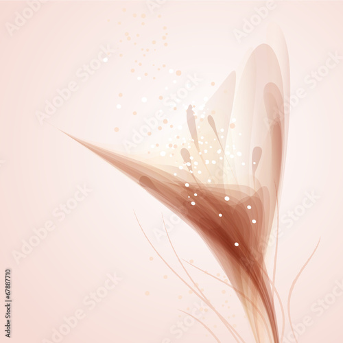 Vector background with delicate flowers photo