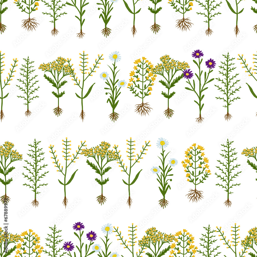 Herbarium flowers with roots, seamless pattern