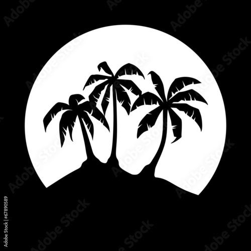 Palme2307c