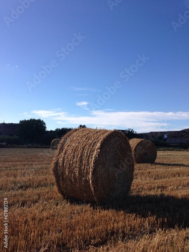Round packs of hay