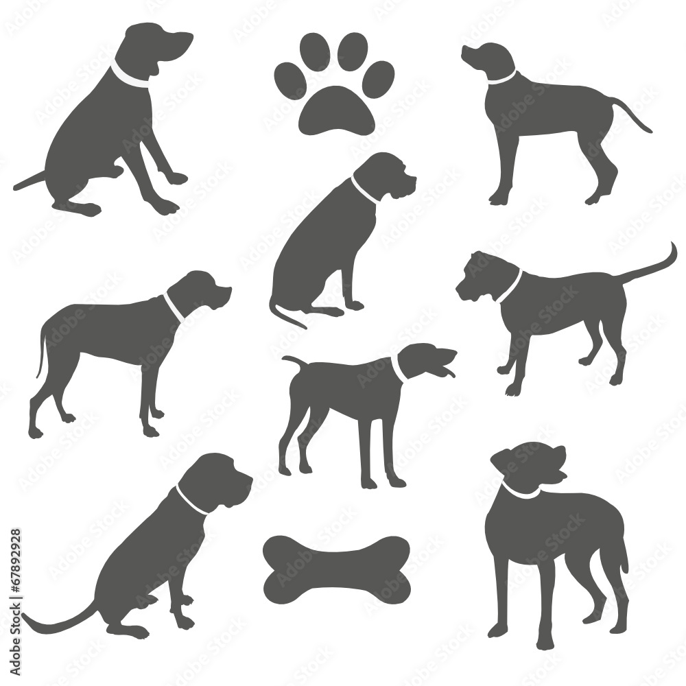 Black silhouettes of dogs